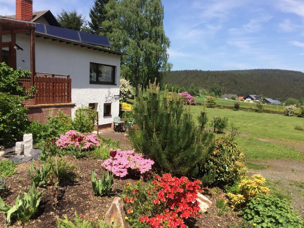 Haus Am Wald - Urlaub Am Nationalpark Lägenhet Langweiler  Exteriör bild