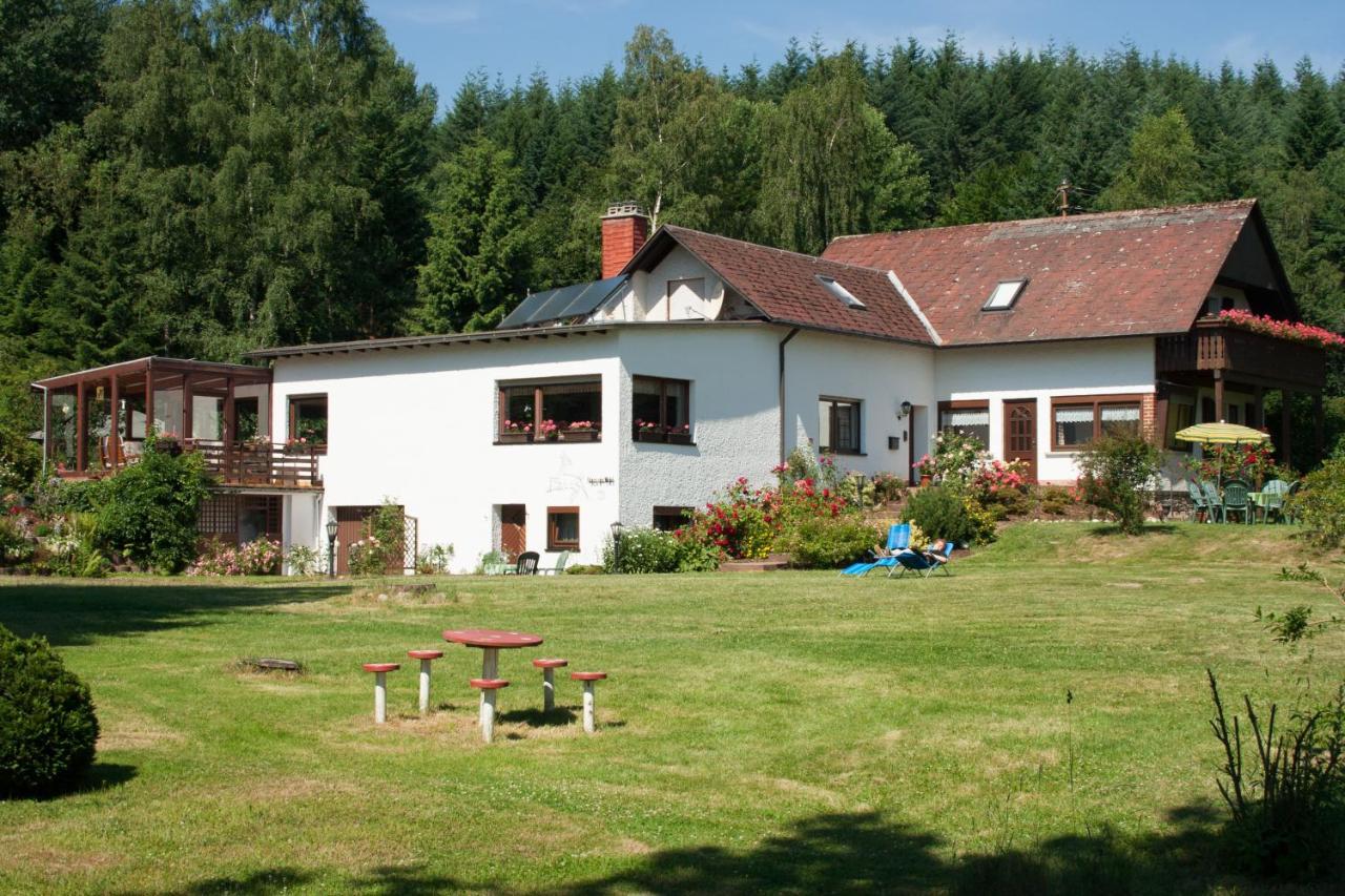 Haus Am Wald - Urlaub Am Nationalpark Lägenhet Langweiler  Exteriör bild