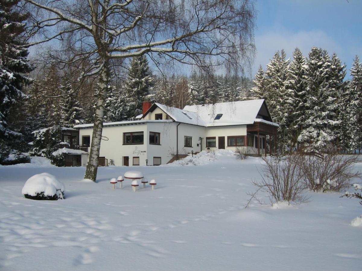 Haus Am Wald - Urlaub Am Nationalpark Lägenhet Langweiler  Exteriör bild